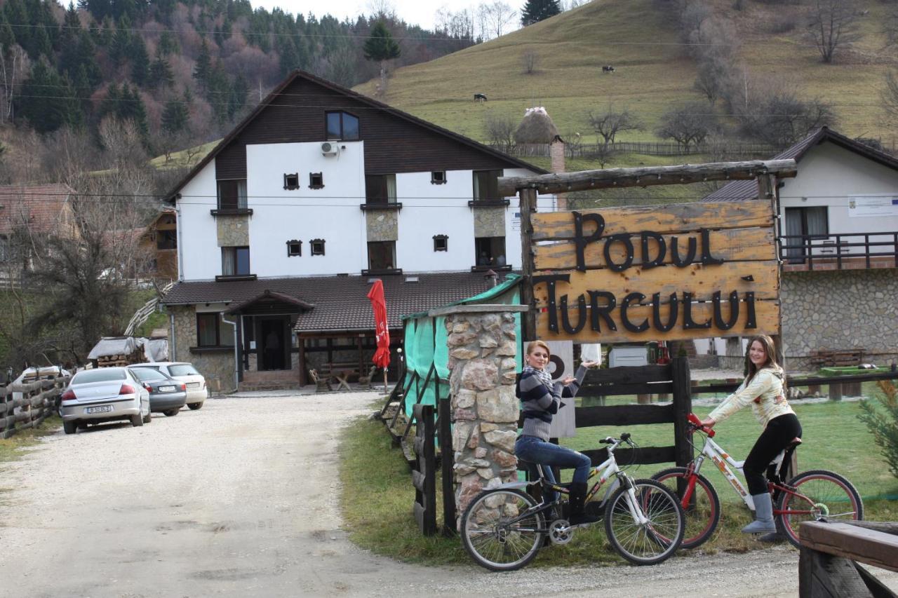 Pension Podul Turcului Hotel Moieciu de Jos Exterior photo